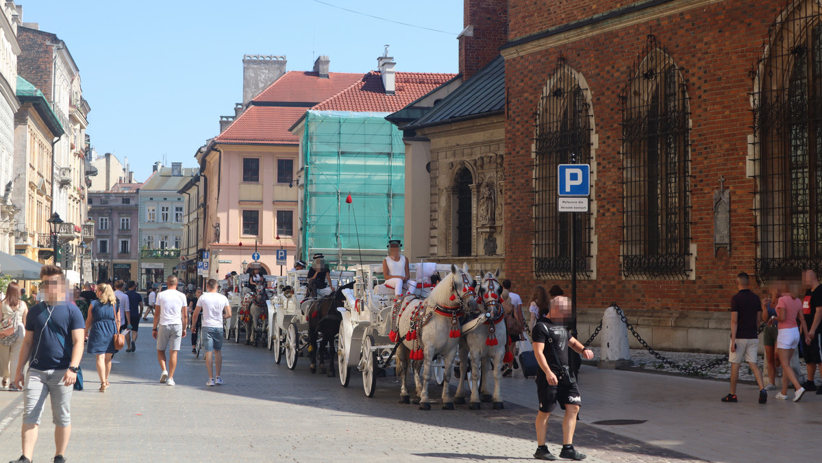 Kraków: Co z dorożkami na Rynku Głównym podczas upałów? UMK odpowiada