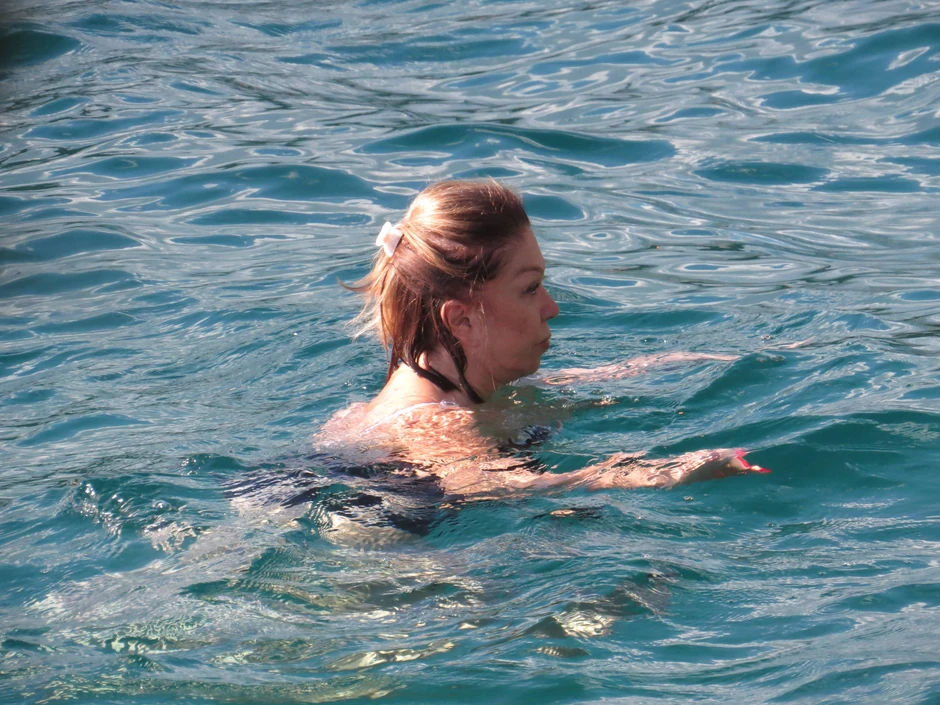 crna gora neda ukraden