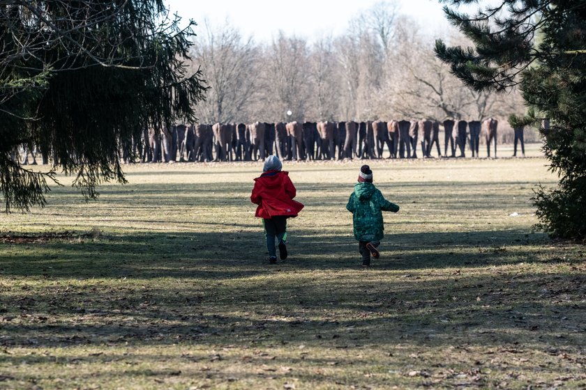 Ogród miododajny na Cytadeli