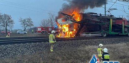 Dramatyczny wypadek pod Trzemesznem. Ciężarówka wjechała pod pociąg, pojazdy stanęły w płomieniach