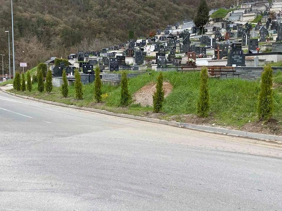 Ispod užičkog groblja juče je zasađeno 26 tuja