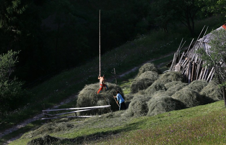 Krajobrazy w wiosce Magura w rumuńskiej Transylwanii