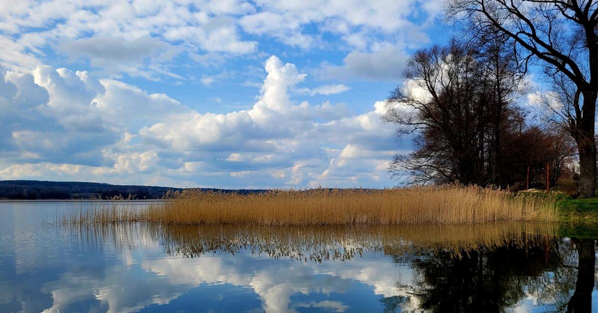  Celtowie żyli na Kujawach? Sensacyjne odkrycie archeologów