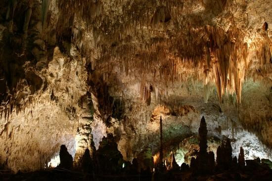 Galeria USA - Carlsbad Caverns, obrazek 7