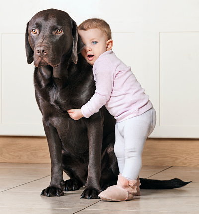 Między dzieckiem a psem jest wiele podobieństw