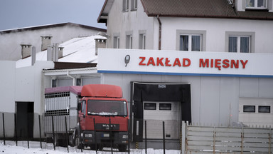 Czechy: kontrole drogowe na granicy z Polską w związku z pojawieniem się mięsa z chorych krów