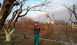 Miedzian 50 WP: jak i kiedy stosować? Co można pryskać miedzianem?