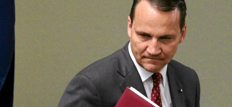 Sikorski o "Marszu Niepodległości": to przez harce waszych łysych pał Polska ma za co przepraszać