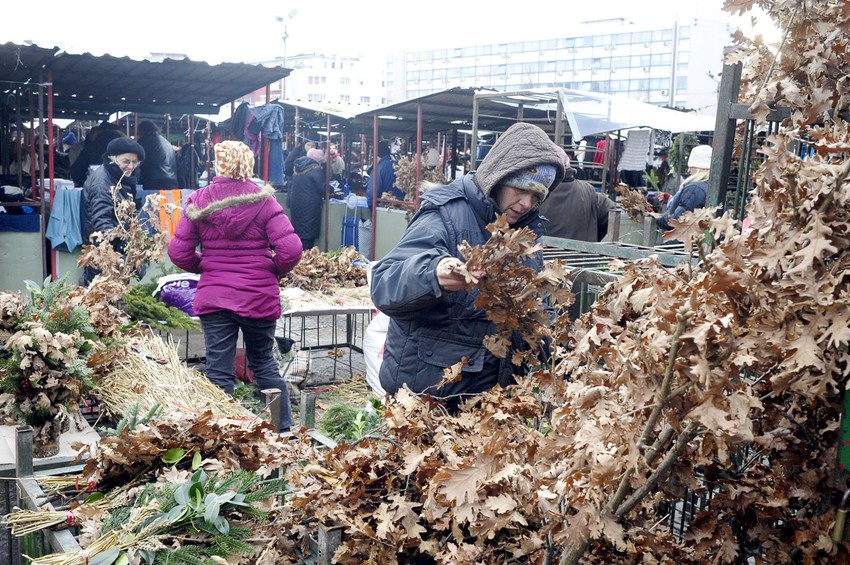 Badnjaci od 30 do 100 dinara