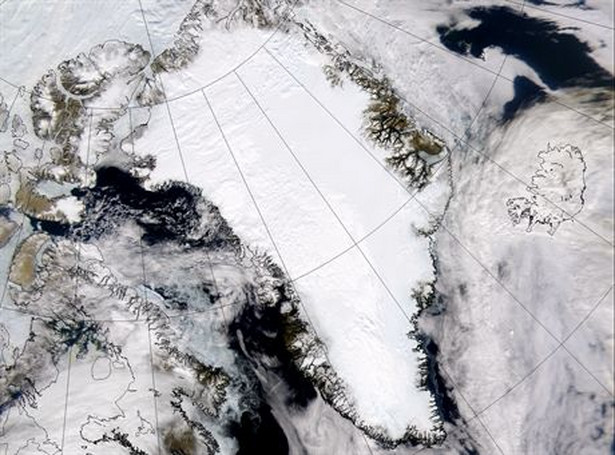 Na Grenlandii były lasy