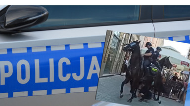 Podczas interwencji policji konnej w Katowicach omal nie doszło do tragedii. Nowe fakty 