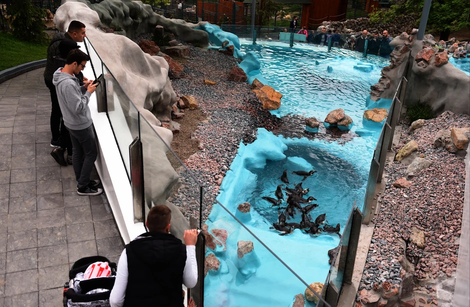 Pingvinarijum je građen tri godine