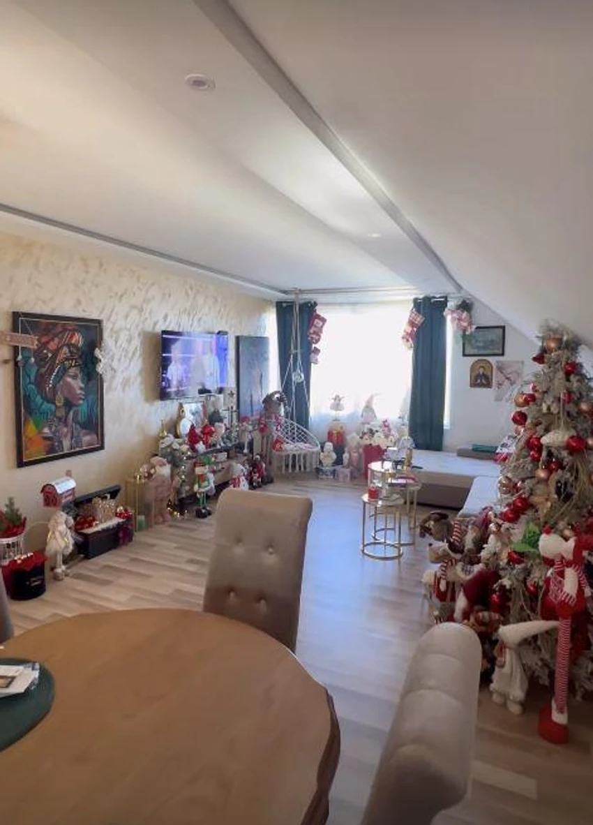 Dragica Zlatić, objava