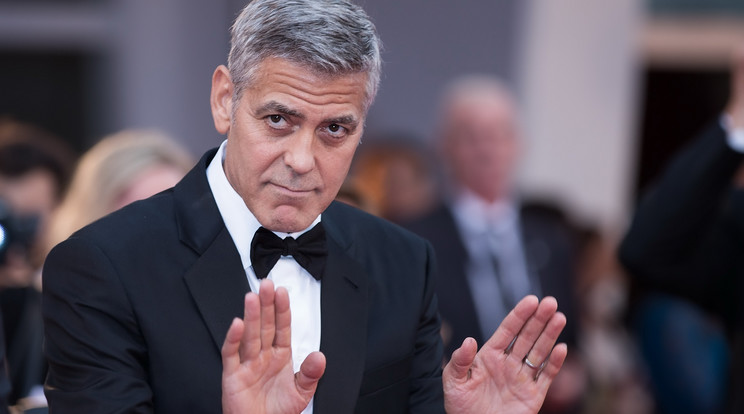 George Clooney  /Fotó:Northfoto