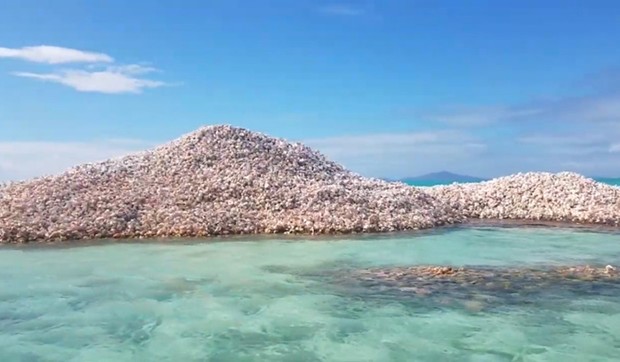 Anegada foto Youtube E F