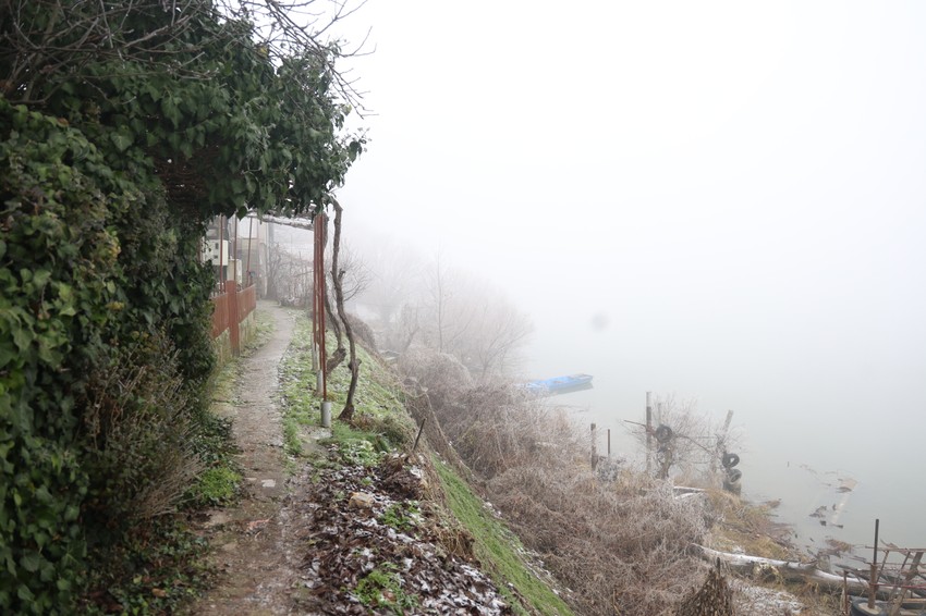 Mesto gde je nađeno telo Nemanje Žikića