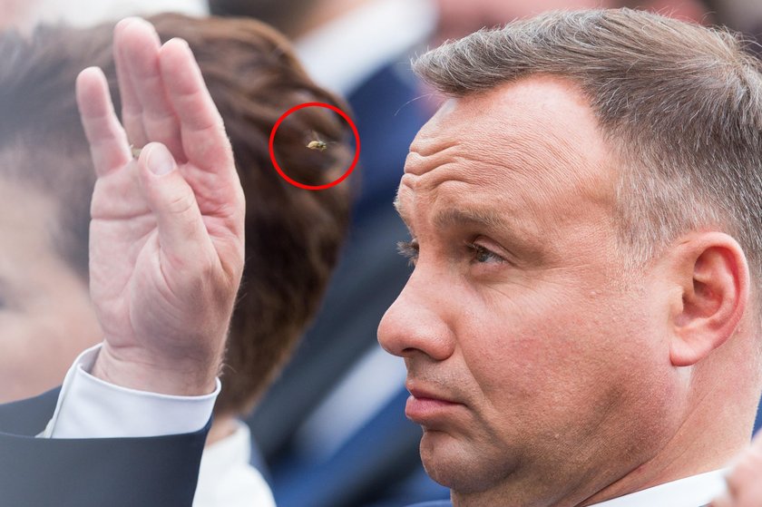 Andrzej Duda walczy z natrętną osą