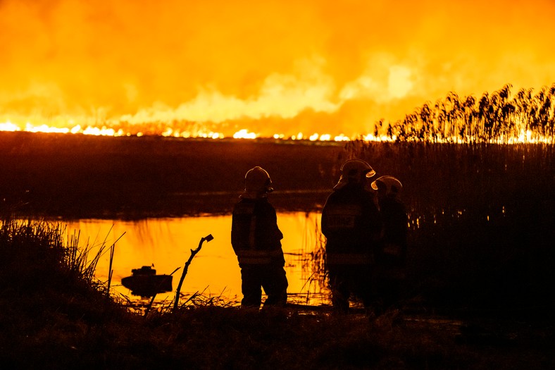 Strażacy podczas nocnej akcji nad Biebrzą