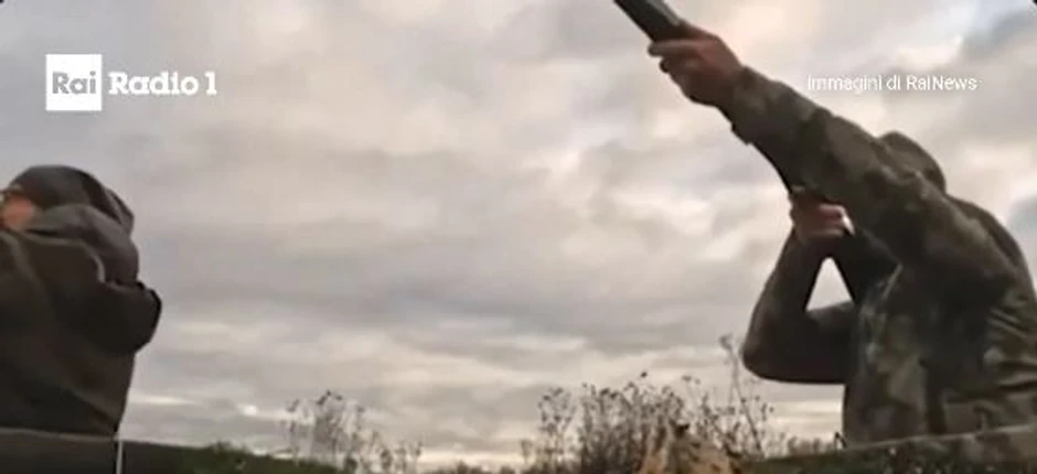 Trampov sin lovi patke