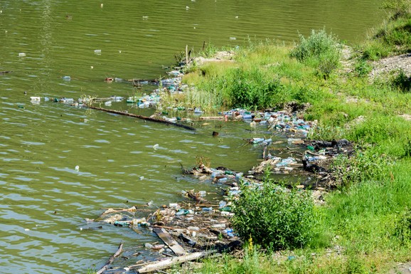Građani se udružili i od zapuštene močvare pune smeća napravili raj za pecaroše: Jezero Laguna kod Kikinde u novom ruhu