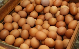 jajka-faszerowane-pasta-z-wedzonej-makreli-i-chrzanu-na-wielkanoc