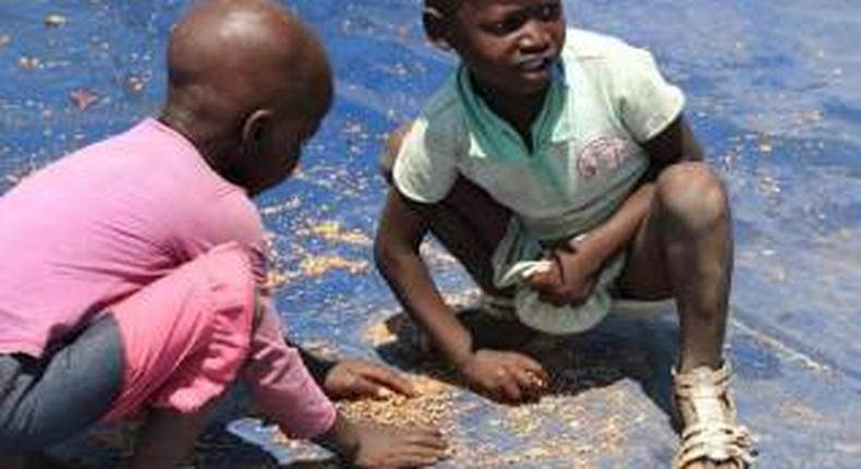 Malawi faces worsening food shortage, UNICEF says hunger looms