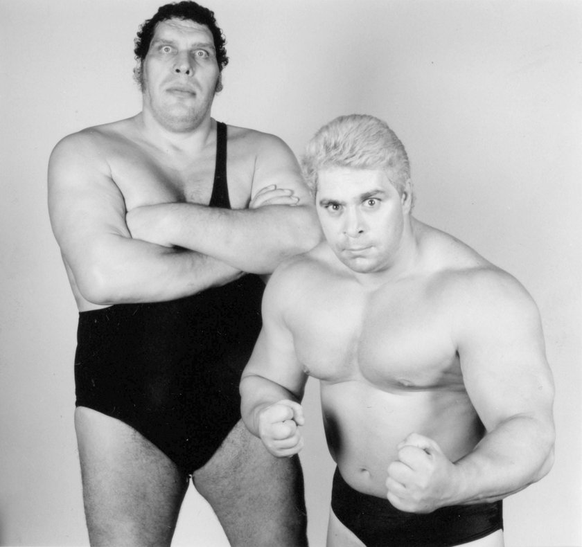 Dino Bravo