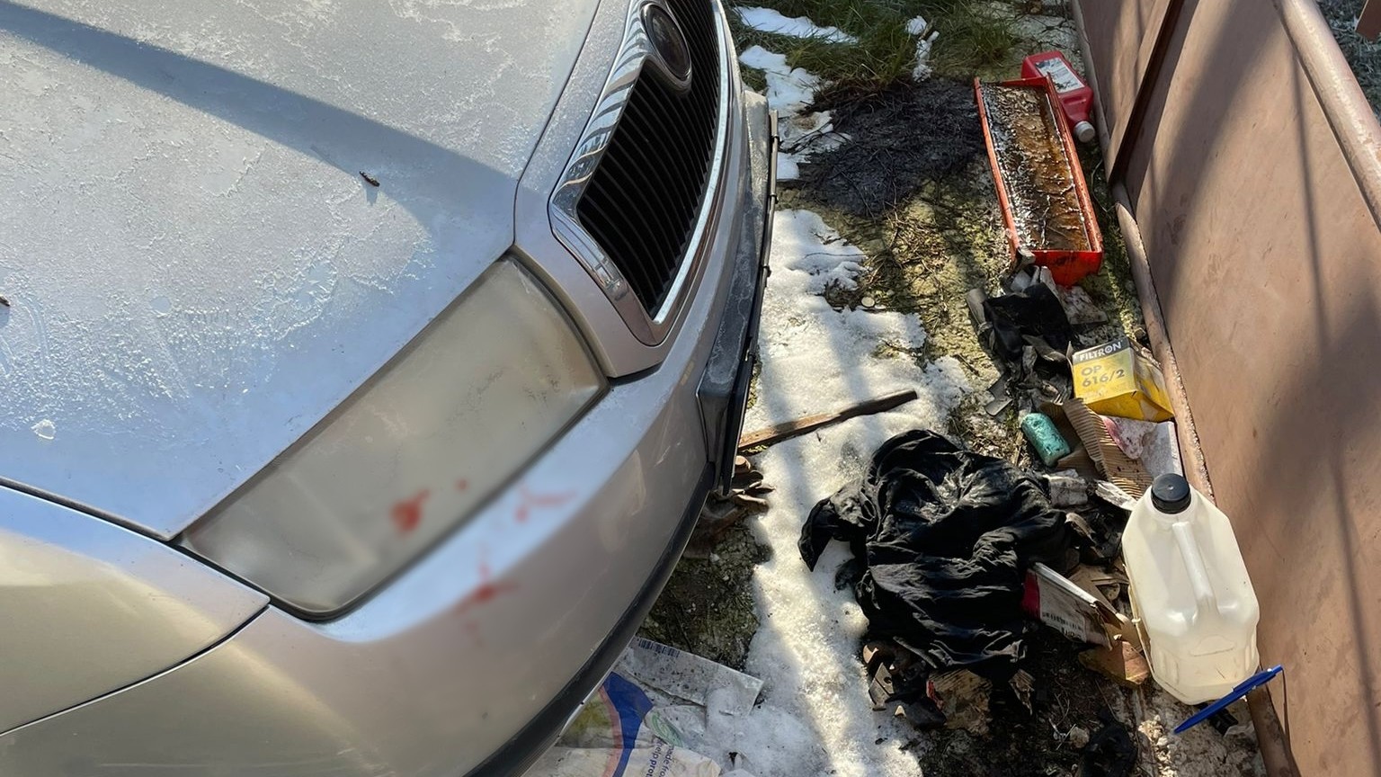 Pes v obci Malá Maňa napadol poštárku. 