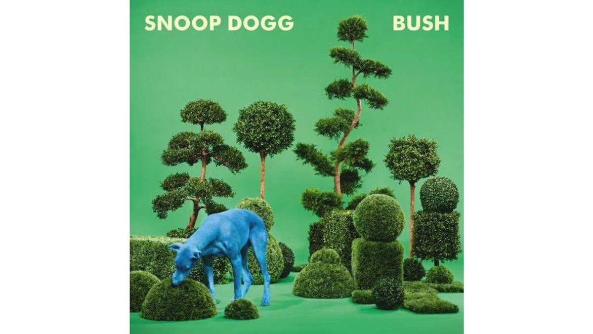 snoop dogg bush plyta