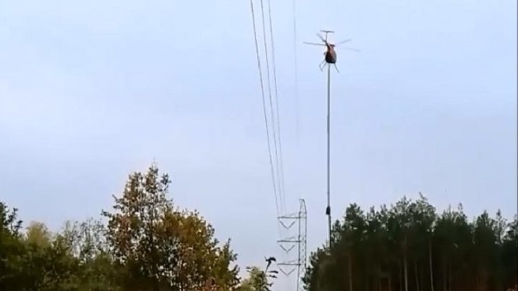 Helikopter z podwieszoną piłą mechaniczną w Łódzkiem ma pojawić się w drugiej połowie lutego