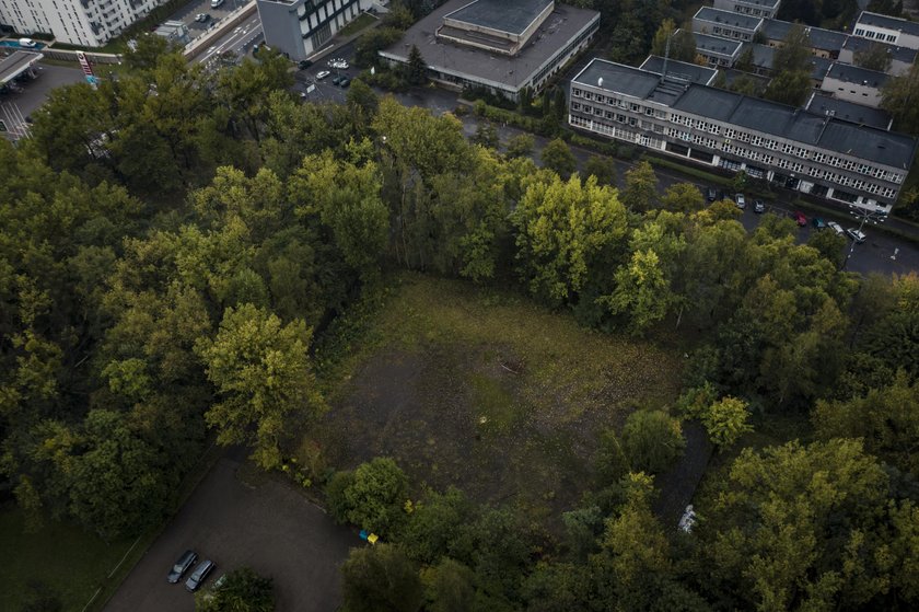 Spółka Green Park Silesia w Chorzowie chce budować osiedle na terenie Parku Śląskiego 