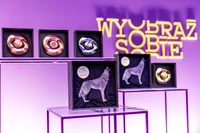 "Wyobraź sobie taką historię". Te filmy na nowo definiują po