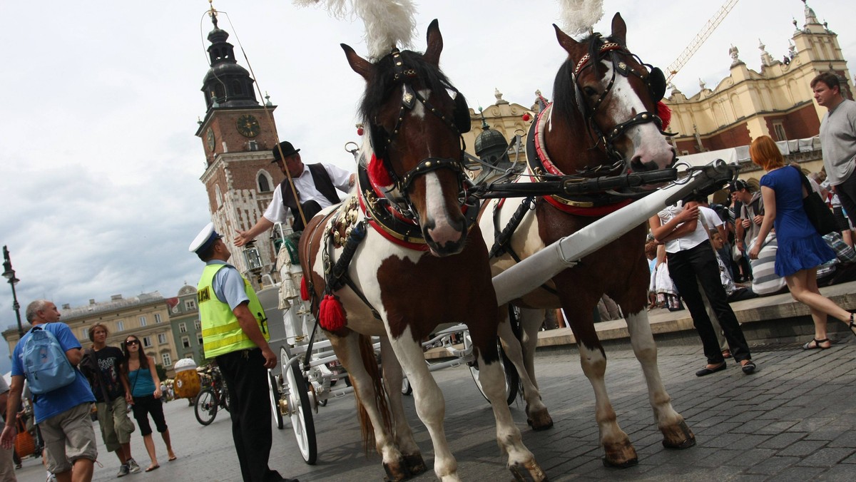 Krakowska prokuratura ponownie umorzyła śledztwo w sprawie wypadku dorożki na Rynku Głównym w Krakowie, podczas którego koń wpadł na dwie nastolatki - poinformował prok. Janusz Hnatko z Prokuratury Okręgowej w Krakowie.