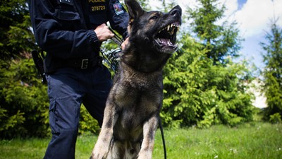 Czech Police Patrol Against Crystal Meth Smugglers