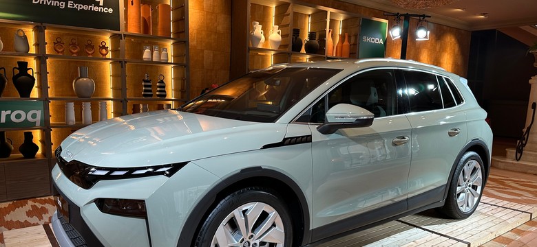 Nowa Skoda już w Polsce. Ma napęd 4x4 i świetny styl. Ile kosztuje?