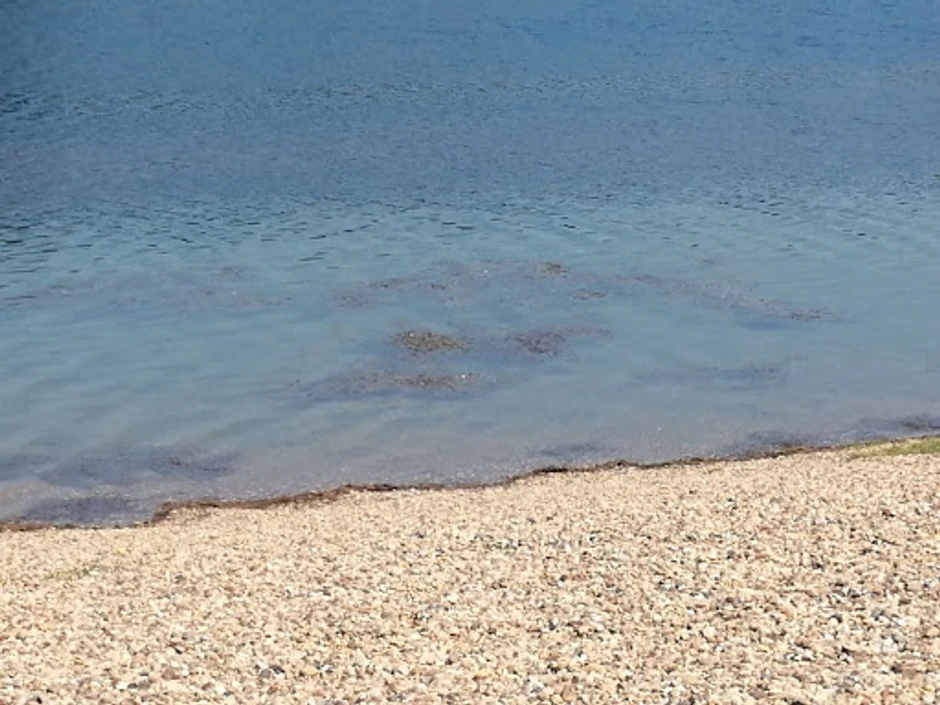 To je trava od koje se jezero čisti