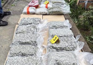 Zaplenjena marihuana u Kikindi