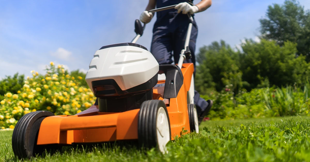 Co zrobić, aby trawnik nie był "spalony"? Tych błędów lepiej nie popełniaj przy koszeniu
