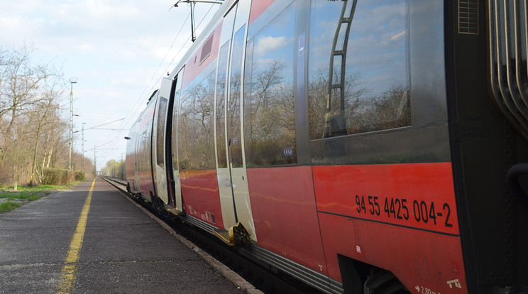 Nekifutott a ló a száguldó vonatnak Győr térségében
/Fotó: Győr-Moson-Sopron Megyei Főügyészség