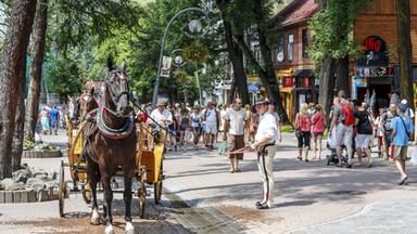 Turyści mają dość odchodów na ulicach Zakopanego. Górale znajdą rozwiązanie?