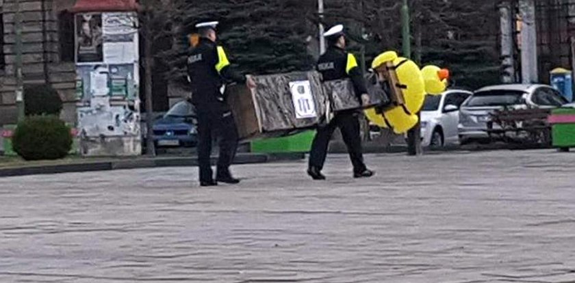 Policjanci aresztowali... kaczkę! O co chodzi?