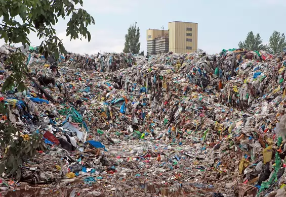 Wielka Brytania i Niemcy traktują nasz kraj jak śmietnik. Polska nie radzi sobie z recyklingiem