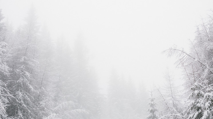 Időjárás: havazásra ébredt az ország /Illusztráció: Pexels