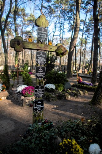 Cmentarz leśny w Laskach