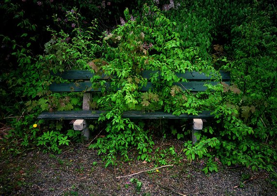 "Open Box" - fotografia czasu pandemii. Zdjęcie Jana Bortkiewicza