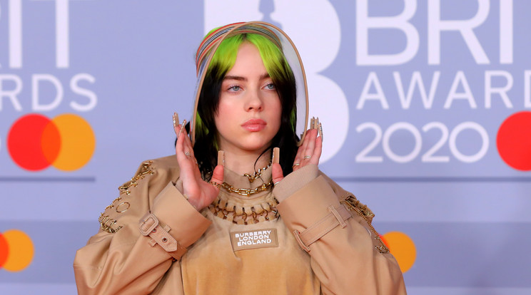 Szupercuki: Billie Eilish kutyájáról posztolt  /Fotó: MTI//EPA/Vickie Flores