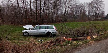 Tragedia w Zgierzu. Kierowca roztrzaskał się na drzewie