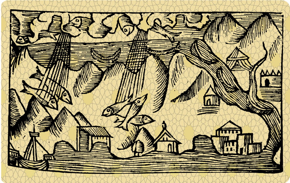 Rycina "Pluie de poissons" przedstawiająca z książki "Historia de Gentibus Septentrionalibus" Olausa Magnusa, 1555 r.