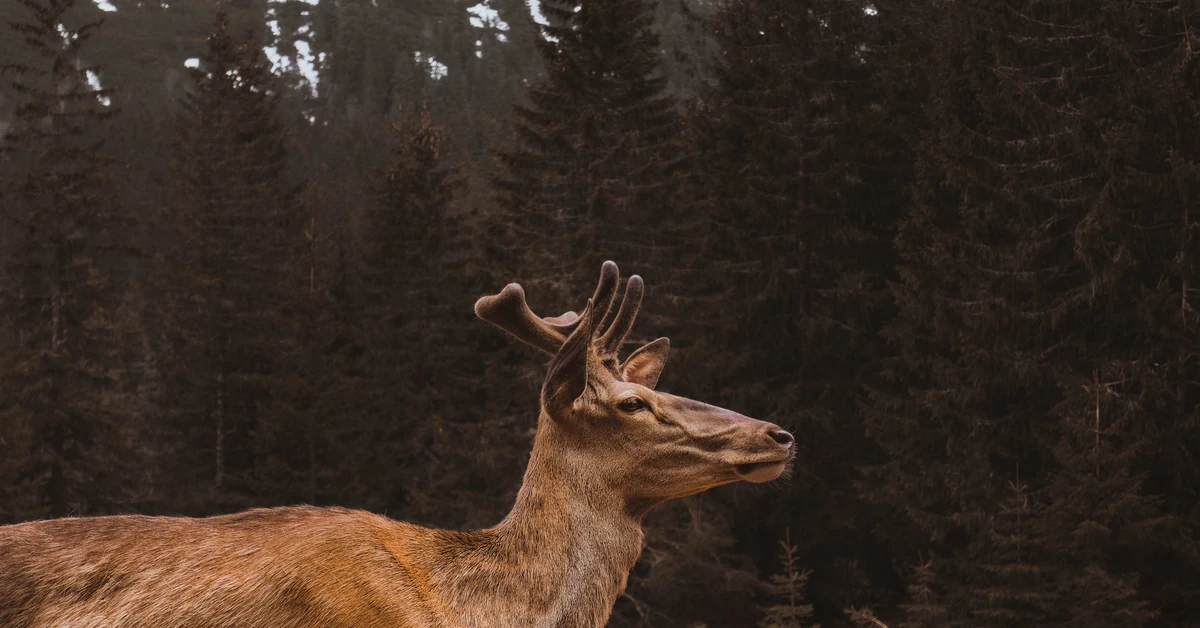 Nieodpowiedzialne zachowanie turystów w Tatrach. Miało być jak w bajce, a był szok
