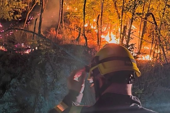 (FOTO, VIDEO) DRAMATIČNE SCENE KOD KNJAŽEVCA! Ogroman požar zahvatio područje sela Gabrovnica, vatrogasci se sa stihijom bore od sinoć: Nebo se CRVENI!